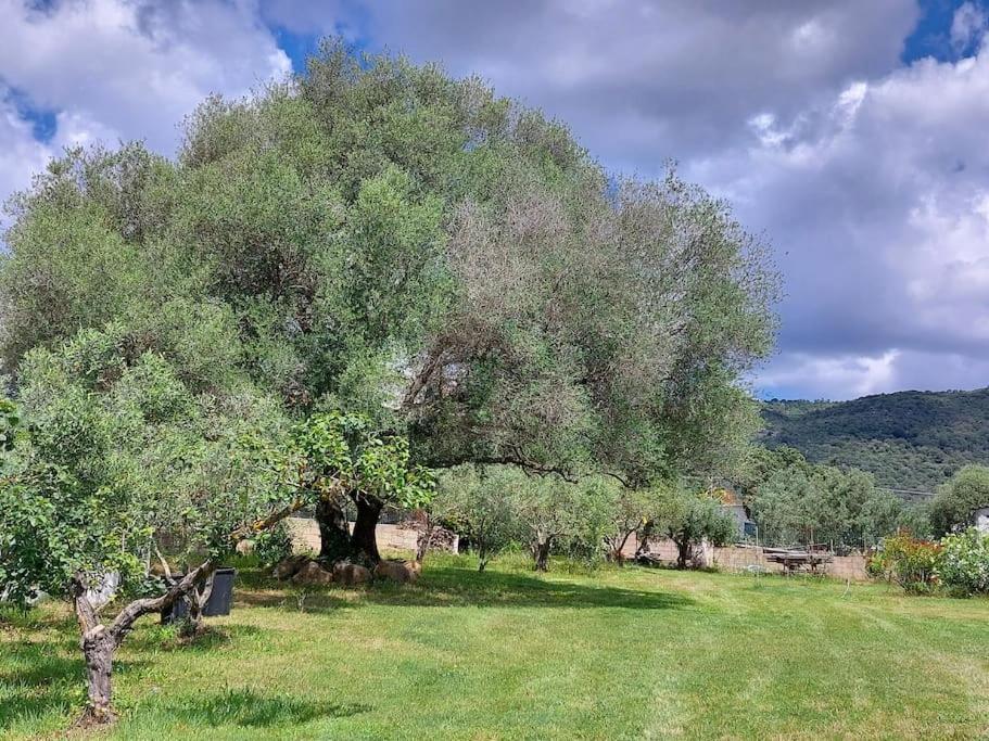 הוילה Sole Ruiu Olbia Grazioso Bilo In Periferia מראה חיצוני תמונה