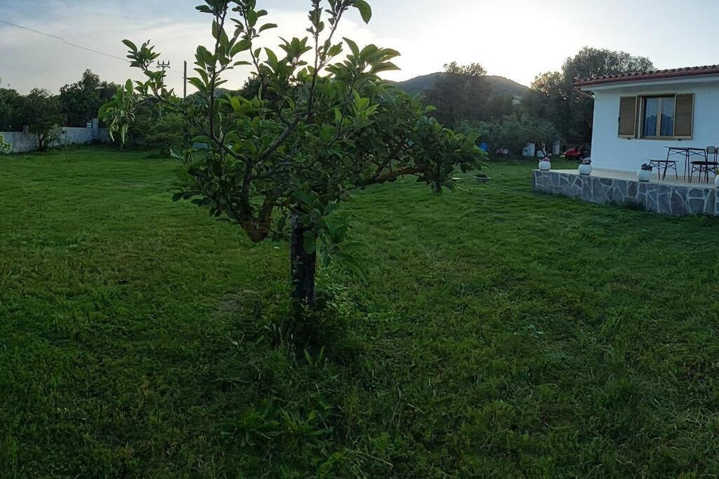 הוילה Sole Ruiu Olbia Grazioso Bilo In Periferia מראה חיצוני תמונה